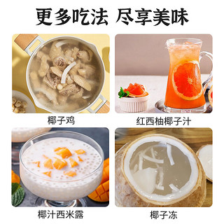 IF 溢福 椰子汁纯椰青水海南椰汁饮料【大瓶装-半箱】椰子水1L*6瓶