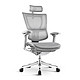 保友办公家具 优旗舰 人体工学电脑椅 灰色+银白色