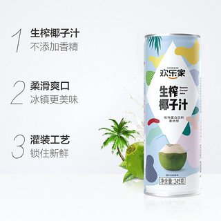 HUANLEJIA 欢乐家 植物蛋白椰子汁245ml*12罐椰汁椰奶