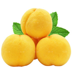 言片光 2022现摘蒙阴黄桃水果新鲜黄毛桃桃子水果 5斤装