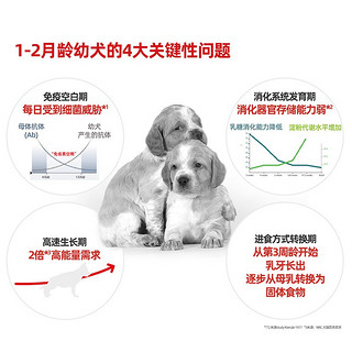 ROYAL CANIN 皇家 MES30中型犬幼犬离乳期奶糕1kg