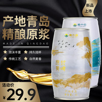鹿小农青岛特产精酿原浆啤酒1*2L大桶小麦白啤拉格黄啤熟扎啤特价 青岛精酿2桶（白啤+黄啤）4斤