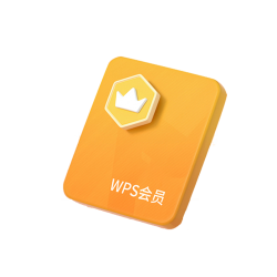 WPS 金山软件 普通会员6年+93天