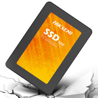 HIKVISION 海康威视 A260 SATA 固态硬盘 256GB（SATA3.0）