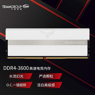 Team 十铨  DDR4 3600 64G(32G*2)