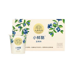 HOKKAI PASTURES 北海牧场 小鲜酪 风味发酵乳 蓝莓味 100g*6杯