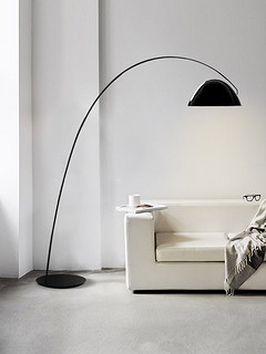 AOZZO 奥朵 北欧极简落地灯设计感客厅沙发旁网红钓鱼灯卧室床头立式台灯