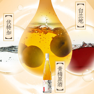 RIO 锐澳 梅之美 青梅酒 500ml*2瓶