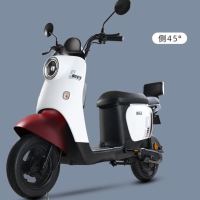 SUNRA 新日 小丽诺2.0 新国标电动自行车 TDT9451Z