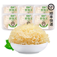 Gusong 古松食品 古田新鲜银耳 6朵独立盒装约 750g