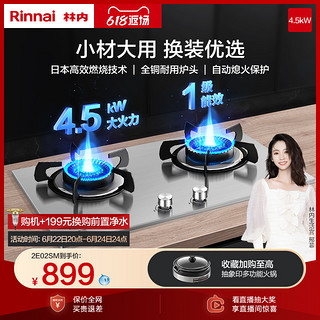 Rinnai 林内 2E02SM 燃气灶双灶 嵌入式天然气灶具家用节能猛火灶