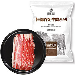 HONDO 恒都 国产原切寿喜锅肥牛片200g*2 冷冻 烤肉片 后胸肉 火锅食材 谷饲牛肉