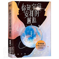 《你是宇宙安排的邂逅》