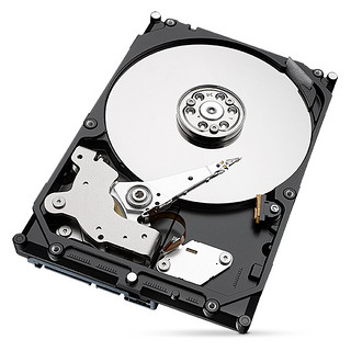 SEAGATE 希捷 酷鹰SkyHawk系列 3.5英寸监控级硬盘 4TB(5400rpm、256MB) ST4000VX013