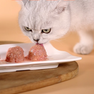 BAMU 八牧 金枪鱼虾仁猫布丁 200g