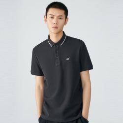太平鸟 男士休闲Polo衫 BWDBB2A2087A