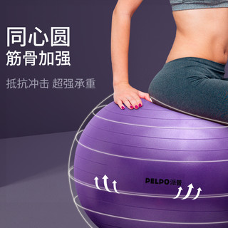 派普 磨砂防滑瑜伽球 魅力紫 55cm 球