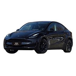 TESLA 特斯拉 model Y  2022款 后轮驱动版 宜买车 新车汽车订金