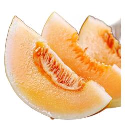 甘肃民勤沙漠蜜瓜3斤