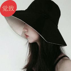2022夏天渔夫帽女韩版帽子大沿潮百搭日系夏季时尚双面 (双面款)黑色+米色 均码