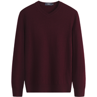 FIRS 杉杉 男士V领羊毛衫 FT2204TM036 酒红 2XL