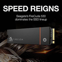 SEAGATE 希捷 FireCuda 530 2TB 内置固态硬盘 - M.2 PCIe Gen4 ×4 NVMe 1.4