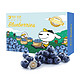 京东生鲜 当季 国产蓝莓 原箱 12盒装 125g/盒  新鲜水果