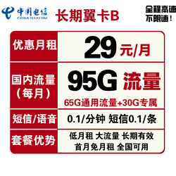 CHINA TELECOM 中国电信 长期翼卡B 29元月租（65GB通用流量+30GB定向流量）送30话费