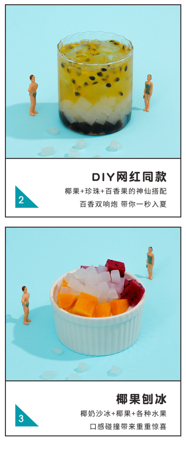 禧小饮 椰果粒 40g*10杯