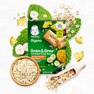 Gerber 嘉宝 果蔬棒 美版 香蕉芒果菠萝味 156g