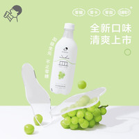 喜茶 无糖气泡苏打水 0糖0脂0卡 含膳食纤维 多口味果汁夏日饮料饮品 整箱装 青提乳酸菌味500ml*15瓶
