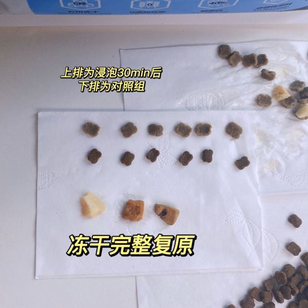 请大数据把这篇推给所有养宠人——从此以后的猫犬主粮,卫仕全包了!