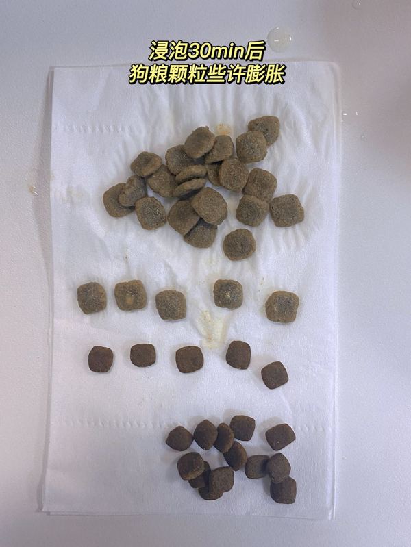 请大数据把这篇推给所有养宠人——从此以后的猫犬主粮,卫仕全包了!