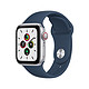 有券的上：Apple 苹果 Watch SE 智能手表 40mm GPS款