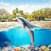 Schleich 思乐 海洋仿真动物模型 多款可选