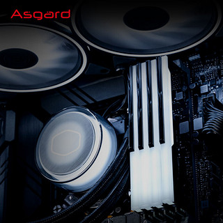 Asgard 阿斯加特 博拉琪系列 DDR4 4000MHz 16GB台式机内存 RGB灯条