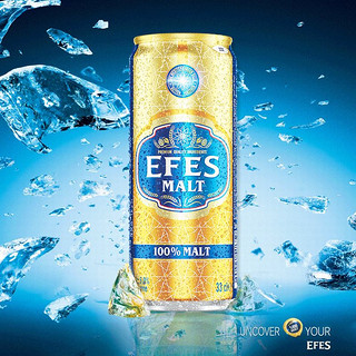 EFES土耳其艾菲啤酒纯麦330毫升24罐装