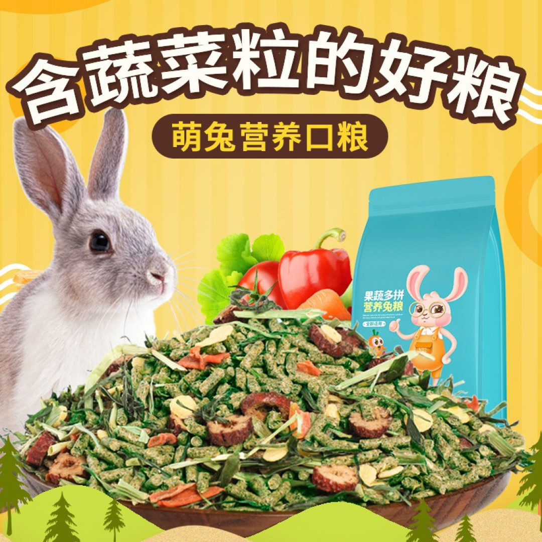 这个春天一起养只兔子吧