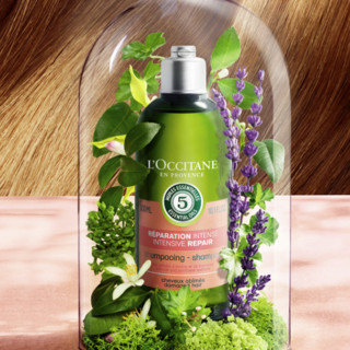 L'OCCITANE 欧舒丹 5合1草本菁纯修护护发素 250ml