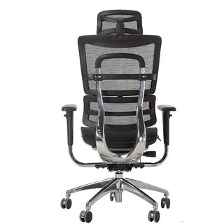 Ergojust爱高佳e5 办公电脑椅人体工学椅家用久坐网面 E5标准黑色(钢制底盘+全抛光无涂层铝合金后背) 有脚托