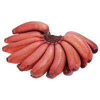 PLUS会员：芬果时光 新鲜红美人香蕉 5斤装