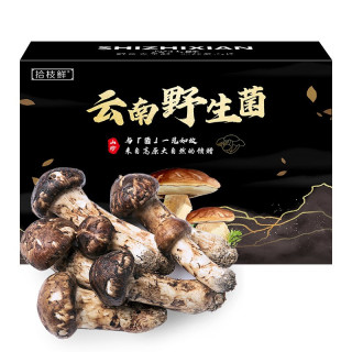 殷菌野生云南白葱牛肝菌礼盒500g产地空运直发