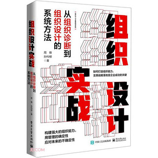 《组织设计实战·从组织诊断到组织设计的系统方法》