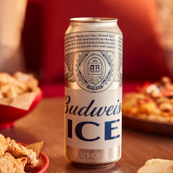 budweiser 百威 啤酒冰啤500ml*18听大罐装 整箱装