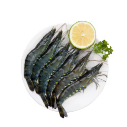 XIANGTAI 翔泰 海南澄迈活冻黑虎虾 净重350g