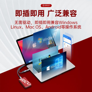 奥睿科(ORICO) NVMe移动固态硬盘(PSSD)潮牌系列 USB4接口 小巧耐用强兼容 【1T】USB4兼容雷电3-3100MB/S