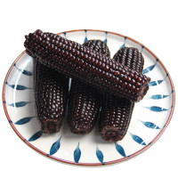 逸知鲜 东北黑糯玉米 8穗 1800g