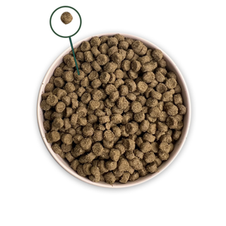 Pronature 枫趣 盛宴系列 猫粮