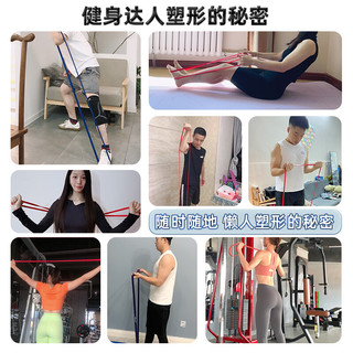 LI-NING 李宁 弹力绳弹力带健身拉力器阻力带拉伸带