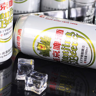 YANJING BEER 燕京啤酒 特制9.5度 啤酒